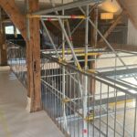 WhatsApp Image 2025-06-03 at 11.21.52